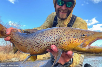 Lost Trout Are Your Fault